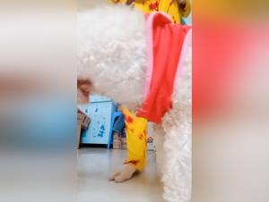 Video of Sex with a Dog