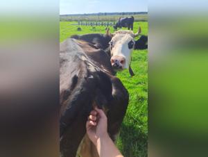 naughty vacation memories