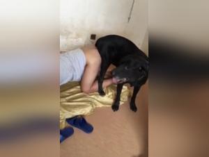 women dogs bestiality