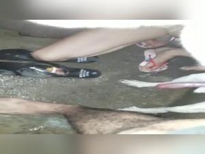 A Wild Experience: Extreme Bestiality Video