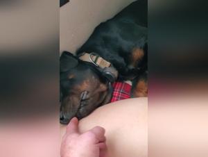 Submissive and exhibitionist woman with her dog