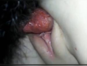 Women and dogs: a forbidden encounter