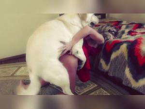 Sonya and her canine companion: a beastly encounter