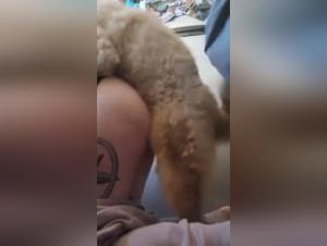 Woman and dog: a story of bestiality sex