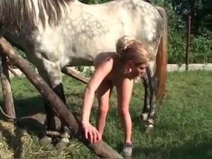 Blonde vom Pferd auf dem Bauernhof gefickt