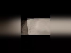 Woman and Dog: An Intimate Relationship