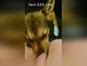 Dogtube Presents: Intimate Tiersex Scenes