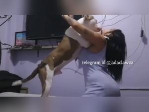 Slut Zoophilia Dog Amateur