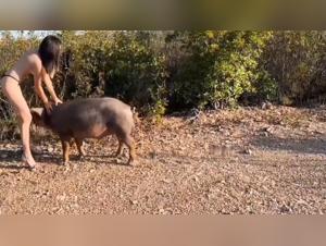 Knotting avec Chien Outdoors : Salope se Fait Défoncer