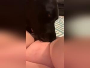 BdogLking: An Exciting Sex Experience with a Dog