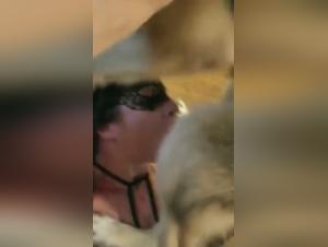 Exciting Encounter: Woman and Dog