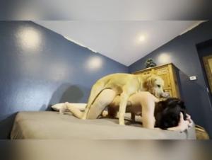 Dog Fuckin' Up - Onlyfans Zoo Fever