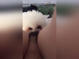 Asian woman and her dog: a video of extreme zoophilia