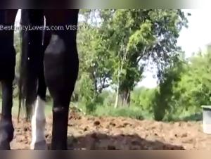Happen in Weedings: puta Abusa con Diablo de Perro