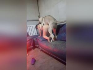 Extreme Bestiality Video