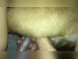 beastly encounter zoophilia