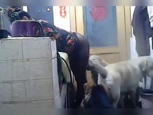 Into the Darkness: Liltimy's Taboo Realm