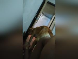 The Unexpected Encounter: A Flicker of Desire