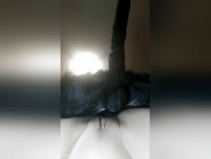 Sex Scene with a Dog