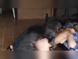 Bestial encounter: a woman and her dog