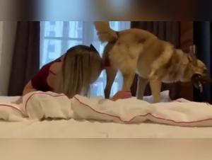 Meuf Baise Chien Vidéo Sexe