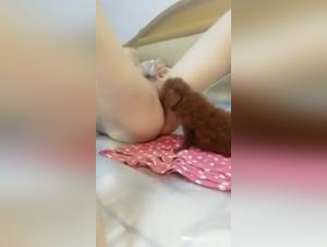 Hardcore zoophilia videos: discover the world of sex with animals