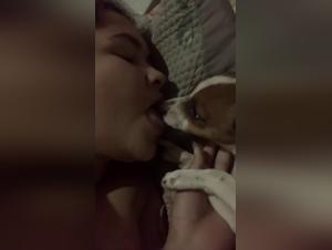 petlust and tickzoo tv