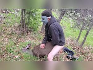 delving into forbidden realms