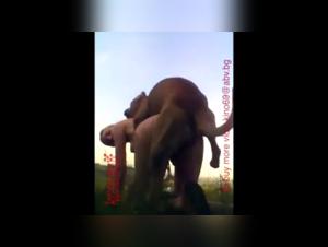 Wild Encounter - Extreme Bestiality