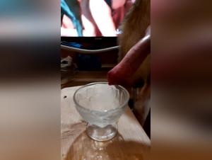 Bestiality sex videos with dogs