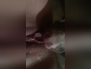 A dog cleans a squirting pussy in this zoophilia video