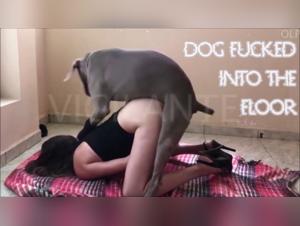 Canine Domination - Hardcore Zoophile Bestiality Video