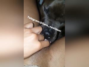 bises chien teen