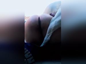 The Cat and Doggy Sex with the Man