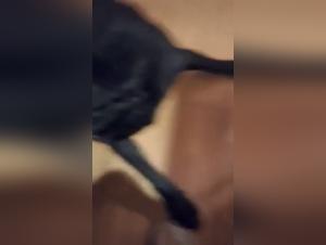 woman and her faithful canine companion