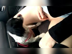 exploring the taboo: sexzoo desires