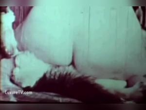 Bestiality Sex Video: Woman and Dog