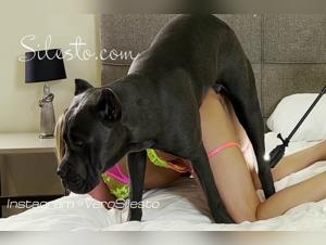 Bestiality with a young slut and a horse