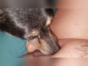 A Bestial Sex Experience with a Dog