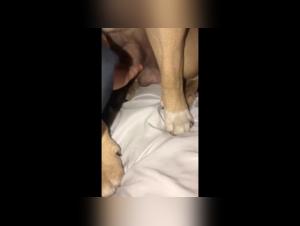 Bestiality: Teenage female dog gets licked by a dog