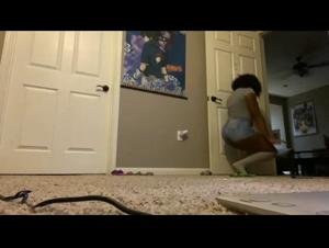 Unexpected meeting: woman and dog