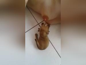 A beastly love story: a woman and her dog