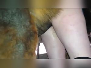 Forbidden Meeting: Woman and Horse