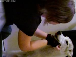 Un chien impreigne la jeune fille avec passion