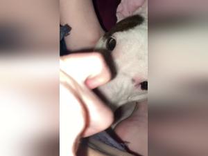 A bestial and intense relationship