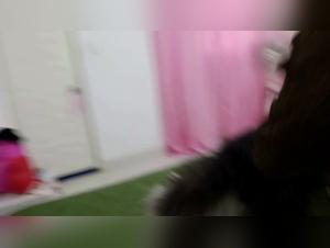 The Savage Slut: A Must-Experience Bestiality