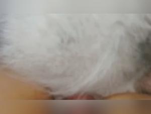 Exploring Forbidden Desires: Bestiality Unveiled