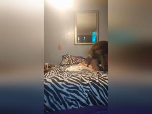 Pushing Boundaries: The Zoophilia Realm