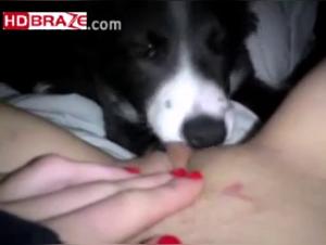 bestiality zoo dog sexton