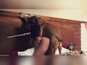 mio cane, il mio piacere tutto il giorno